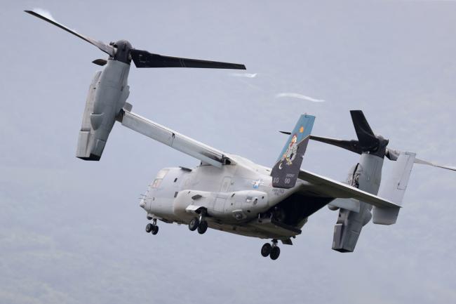 Osprey