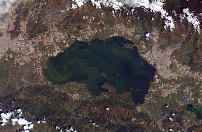 Lago